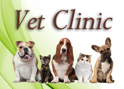 low cost vet check up near me