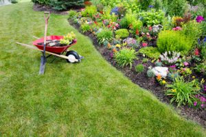Preparing Your Lawn For Fall