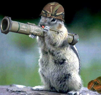 squirrel-army