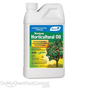 Monterey-Horticultural-Oil-