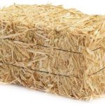 bale of straw