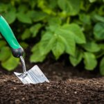 Gardening shovel in the soil