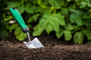 Gardening shovel in the soil