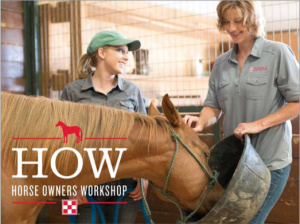 horse owners workshop