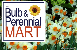 bulb & perennial mart sale