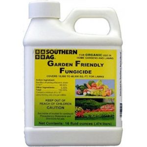 garden friendly fungicide