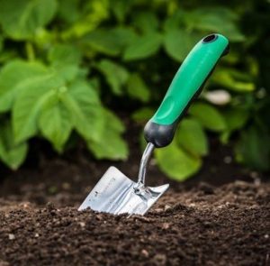 Add amendments to your dirt to turn it into nutrient rich soil. 
