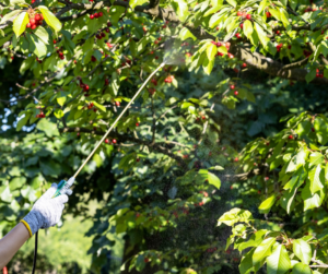 Have questions about fruit trees? Wells Brothers has the information you need. Check our new article titled "Fruit Trees" by clicking here.