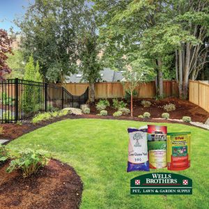 Within a month, it will be time to start applying pre-emergent herbicide for the lawn. Pick up organic and synthetic options at Wells Brothers in Plano, Texas.