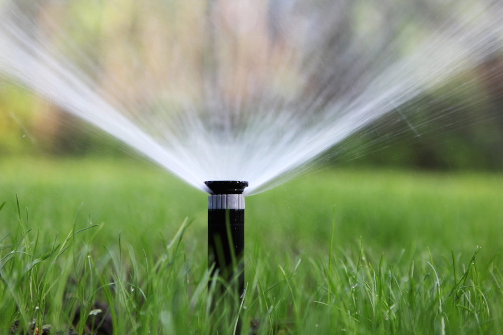 Perform an irrigation audit to determine the amount of water delivered to your lawn each sprinkler cycle. 