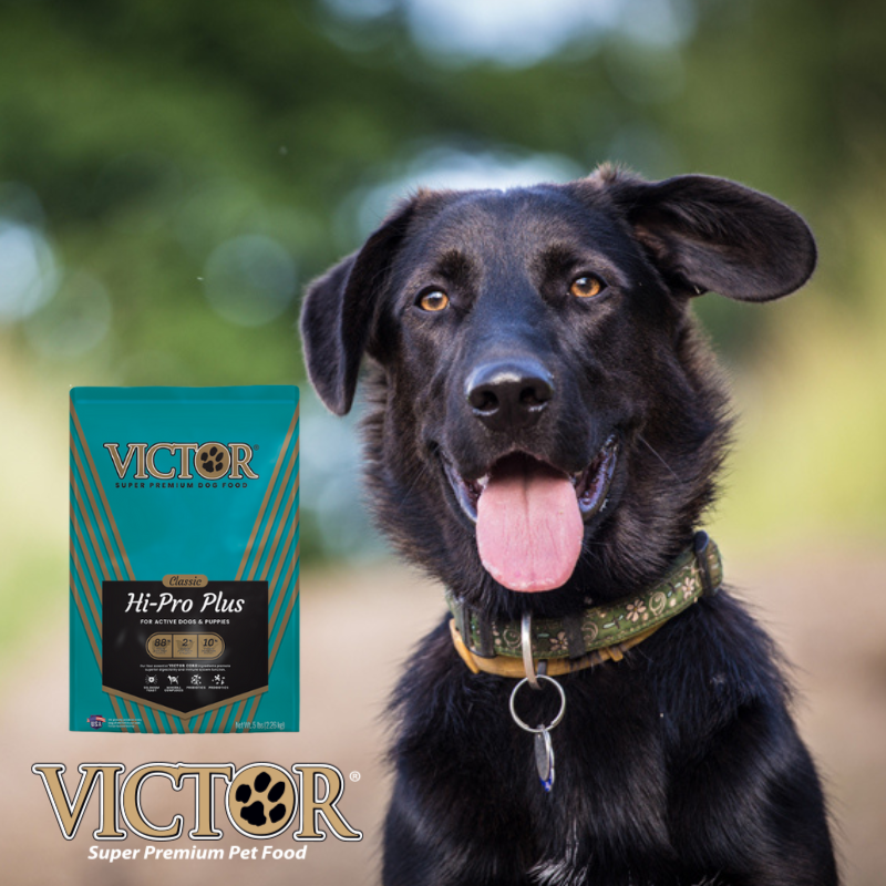 Victor Dog Food Savings 