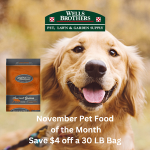 Muenster Pet Food of the Month