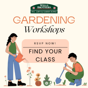 Garden Workshops