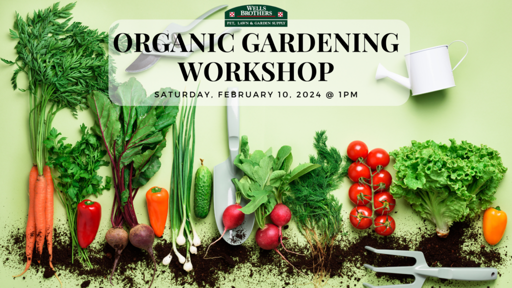Organic Gardening Workshop at Wells Brothers on Jan 27, 2024