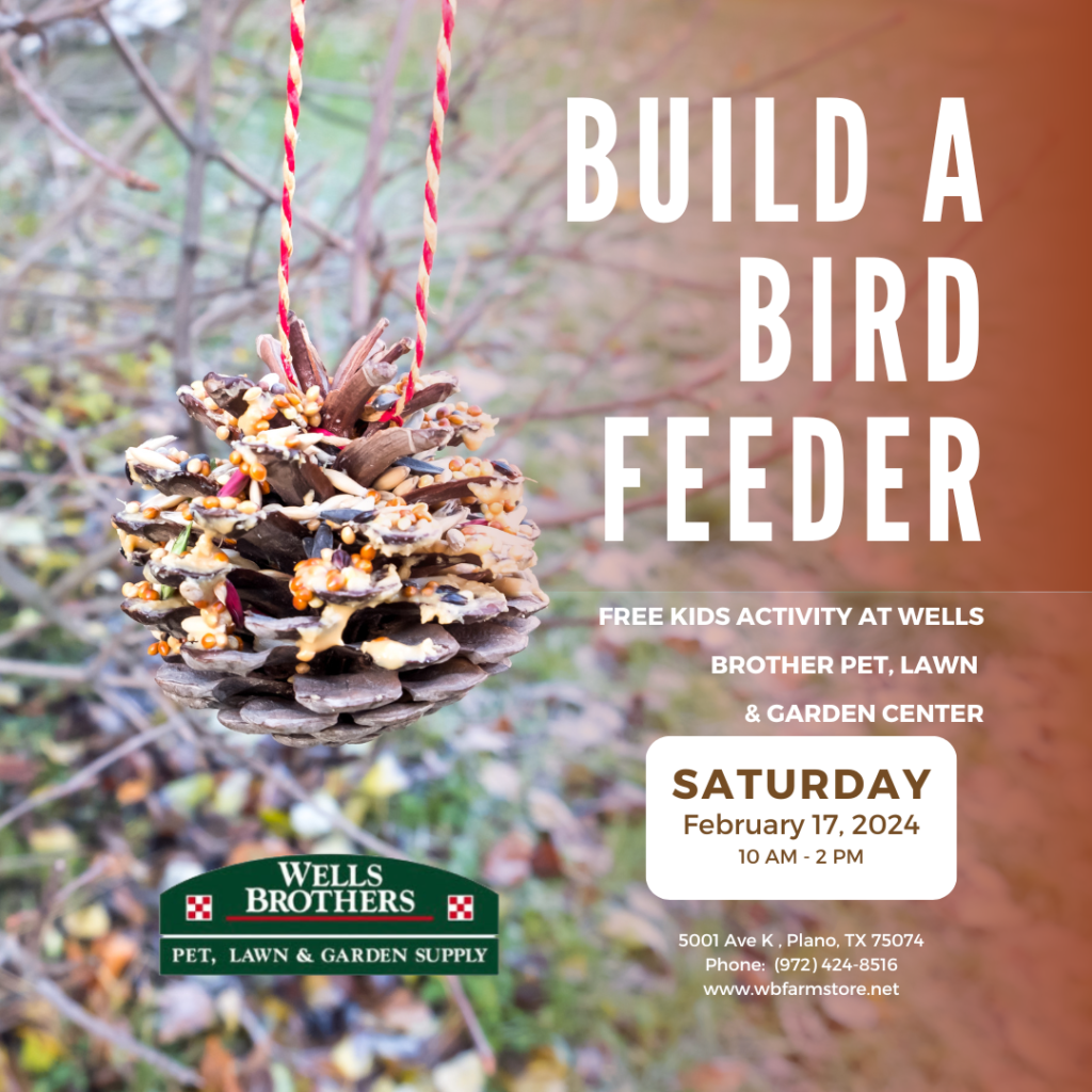 Attend Wells Brothers FREE Build A Bird Feed Class on Feb. 17, 2024